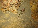 2009-09-09 14-22-57S